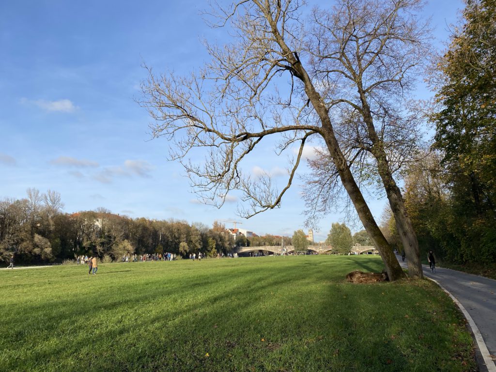 On the Isar cycling path looking north