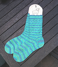 Sam Socks